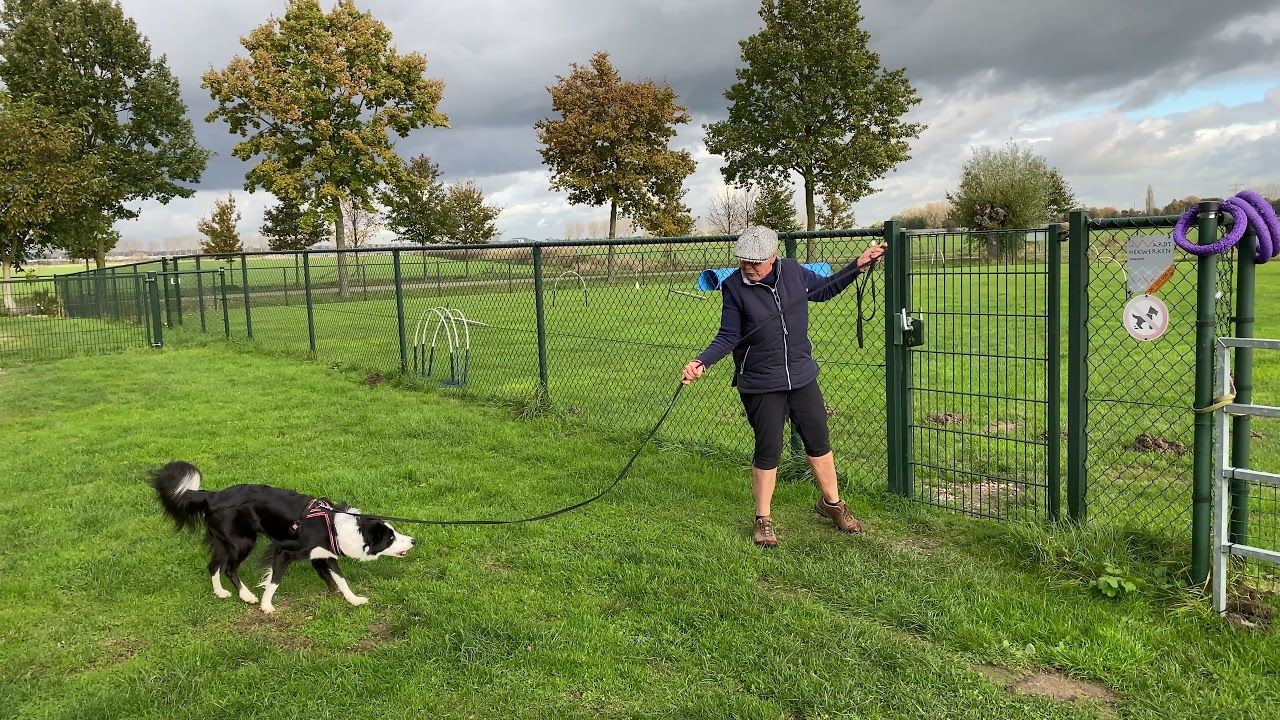 47 Kijkt je hond in de poppetjes van je ogen? Dan gaat de deur sneller open.