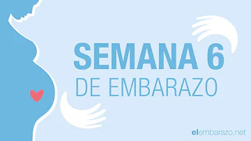 ¿Qué no hacer a las 6 semanas de embarazo?