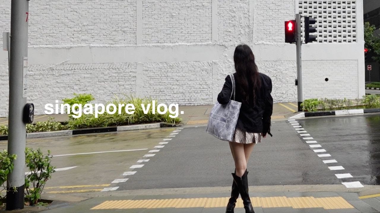 Singapore Vlog 🇸🇬 Shopping, DanceXhibit, Universal Studios!