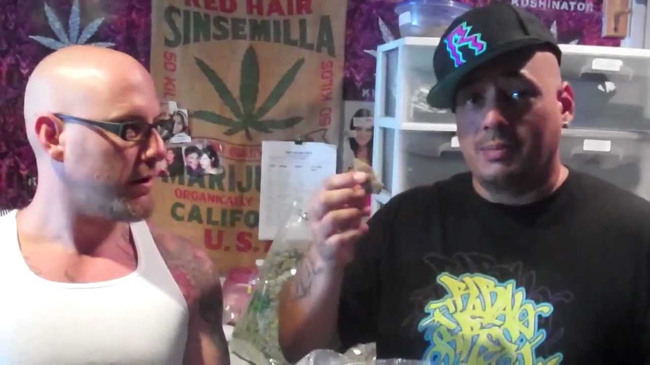 Sticky Dank Buds with Beatnuts Psycho Les on HashbarTV