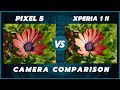 Google Pixel 5 vs Sony Xperia 1 ii Camera Comparison