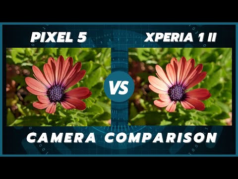 Google Pixel 5 vs Sony Xperia 1 ii Camera Comparison