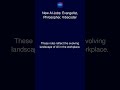 New AI Jobs: Evangelist, Philosopher, Vibecoder