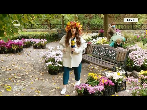 ქრიზანთემების ფესტივალი ბოტანიკური ბაღში