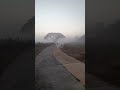 La niebla y la neblina #shorts