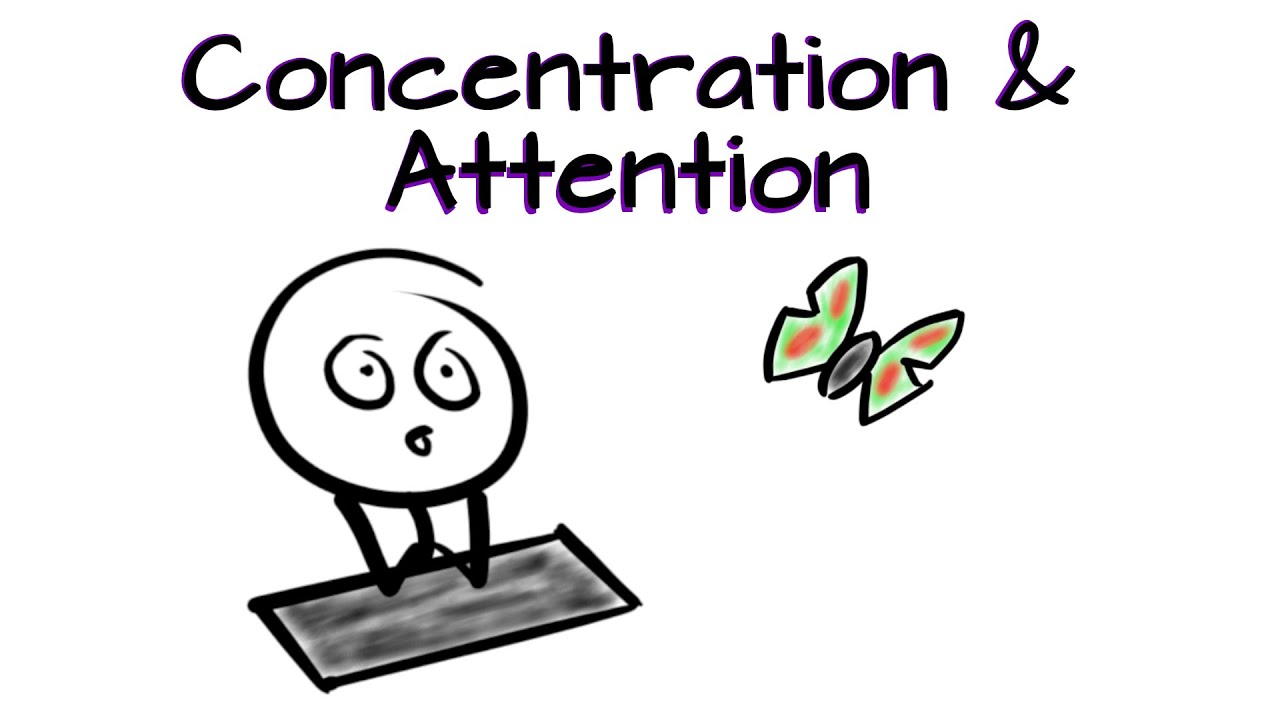 Concentration Attention What Is It And How We Are Being Distracted Concentration Attention What Is It And How We Are Being Distracted