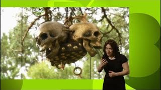 Raven - Series 9: Week 3, Day 4 (2009, signed)