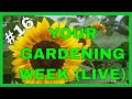 Gardening Q & A - Become a Better Gardener