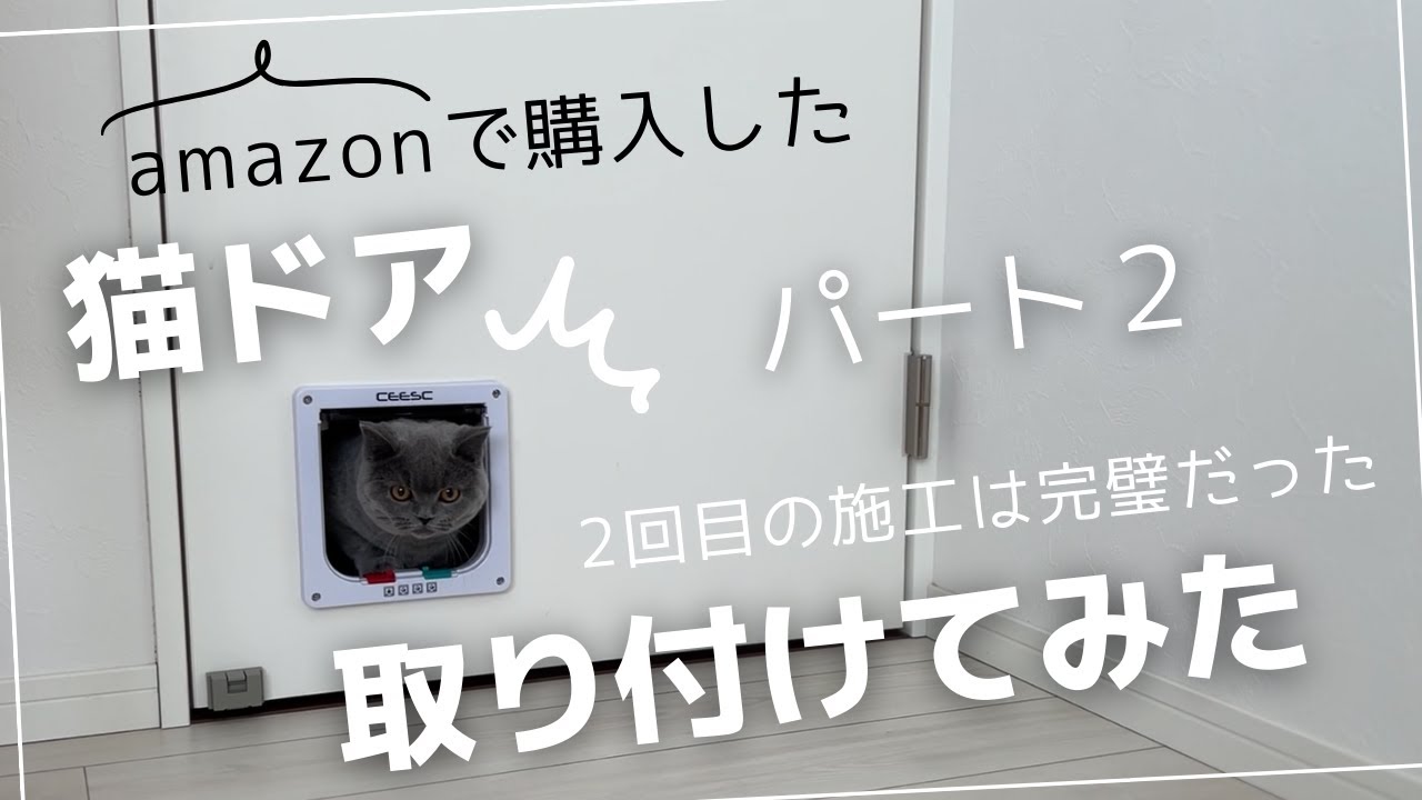 【DIY】猫ドア取り付けてみた！パート２🐈‍⬛いつでも部屋を行き来できるようにしました！#猫 #猫ドア #キャットドア #猫のいる暮らし #ペット#ブリティッシュショートヘア #猫動画