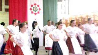 március 15 2010 048.avi