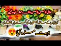 Park Main Aftari 😋😋😋|Bht Maza Aya 😍
