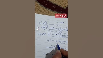 الشيخ أيمن المحمد يشرح و يفسد سورة الفلق في دقيقتين