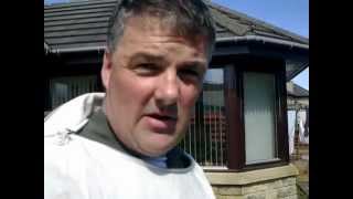 wasp nest aberdeen Part 1- pest control aberdeen