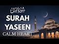 Surah Yaseen Recitation for Inner Calm During Personal Night Reflection with a Relaxed Mind