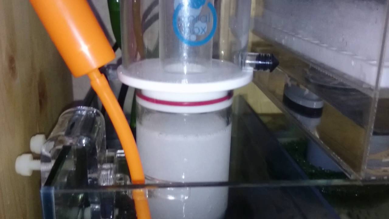 Coral Box S150 Protein Skimmer 設置初日 YouTube