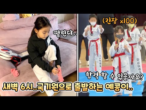 드디어 예콩이가 <strong>국기원</strong> 승급 심사를 보러 갔어요! 과연 결과는..!?