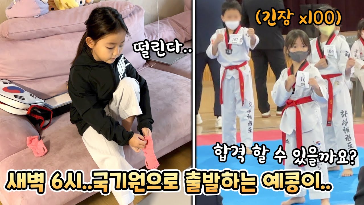 드디어 예콩이가 국기원 승급 심사를 보러 갔어요! 과연 결과는..!?