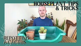 How To SAFELY Repot A Cactus | Houseplant Tips & Tricks