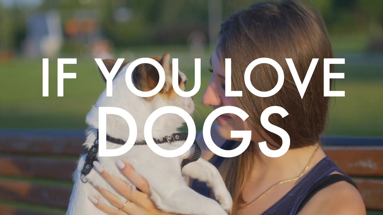 walking pez COME WORK FOR US!