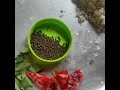 ഇടിച്ചക്ക തോരൻ