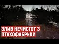 На Волині розслідують справу щодо зливу нечистот з птахофабрики