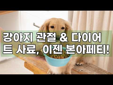 본아페티 플러스 프리미엄 기능성 수제사료: 우리 강아지 관절 건강과 체중 조절의 비밀!