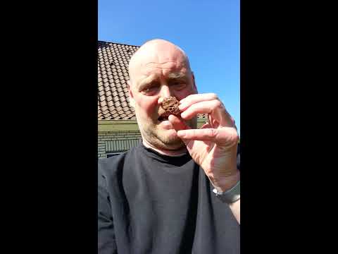 Kleiner Hund der in den Garten kackt. YouTube