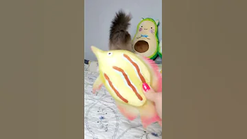Можно ли кошкам рыбу? #shorts