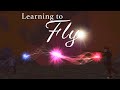 Learning to Fly || The Soul Riders