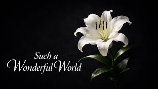 Such a Wonderful World | ATiTA