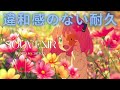 違和感のない耐久⑤　Souvenir【1時間耐久】- BUMP OF CHICKEN