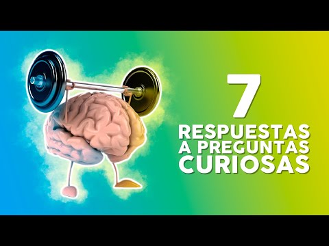 Vídeo: Las Mejores 7 Respuestas A Las Preguntas Más Irritantes Que Reciben Los Viajeros Cuando Regresan A Casa