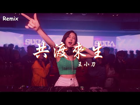王小刀 - 共渡來生 - [慢搖DJ舞曲] - 2023年最勁爆的DJ歌曲  - [Chinese Dj Remix 2023]
