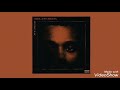 Privilege - The Weeknd - one hour loop
