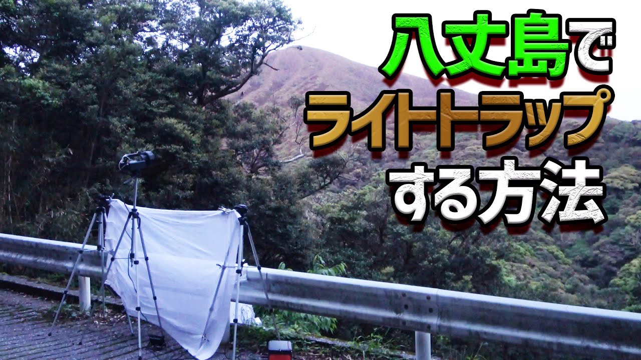 How to Lighttrap in Japanese Island? - YouTube