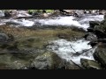 勉強用・作業用　集中力アップの動画　【1/fのゆらぎ】　渓流のせせらぎ動画　【リラクゼーションサウンド】