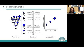 NeuroHackademy 2023: Neda Jahanshad: Neuroimaging and Coordinated Data Analysis