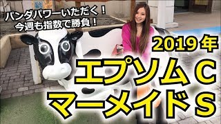 【競馬予想】2019年 エプソムCとマーメイドSの予想【星野るり】
