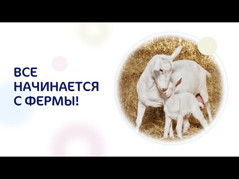 Смесь для новорожденных. Знакомьтесь, Kabrita®!
