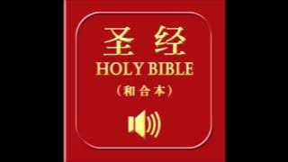 和合本圣经 • 列王纪下 | Chinese Union Version Bible • 2 Kings