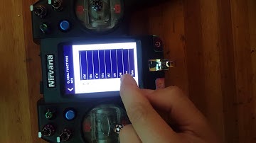 How to set up a global function on your Flysky Nirvana NV14 ( volume control ) !!!!