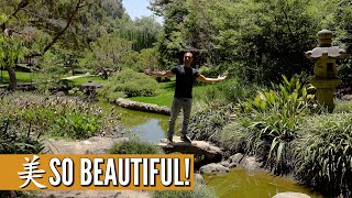 THE HUNTINGTON LIBRARY, ART MUSEUM, & BOTANICAL GARDENS - The Most Beautiful Garden In California