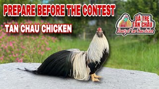 Careful Preparation Before The Performance Gà Tre Tân Châu Việt Nam Tan Chau Viet Nam Chicken