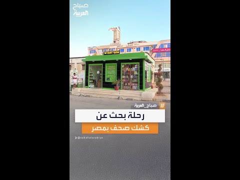 بين قارئ يبحث عن العناوين وبائع يقاوم الزمن من يشتري الصحف الورقية في شوارع مصر