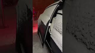 Do the Model X's automatic doors work in the snow?? 🤔🥶