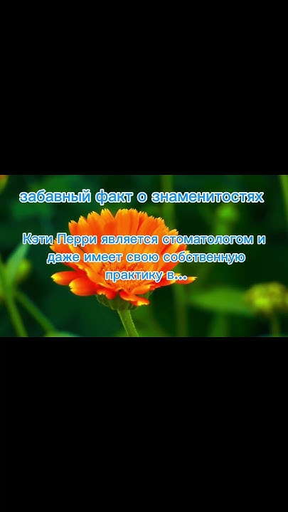 КЕТТИ ПЕРРИ РАБОТАЛА СТОМАТОЛОГОМ?#celebrity #знаменитости #факт # ...