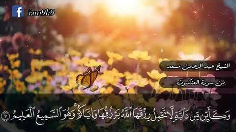 تلاوة قصيره القرآن الكريم سورة العنكبوت ارح سمعك قليلا 🙇♀️🙇♂️🌸