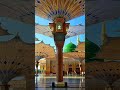 liya jab se mene name e muhammad#video#shortvideo#bestquotes#quotes#viralvideo#love#
