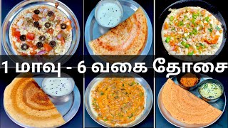 ஒரே மாவில் 6 வகை தோசை ரெடி| 6 south indian dosa recipes | breakfast | dinner | dosa recipe in tamil