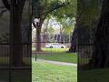 Miami Dade Police Responding